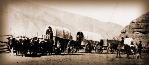 Wagon Train